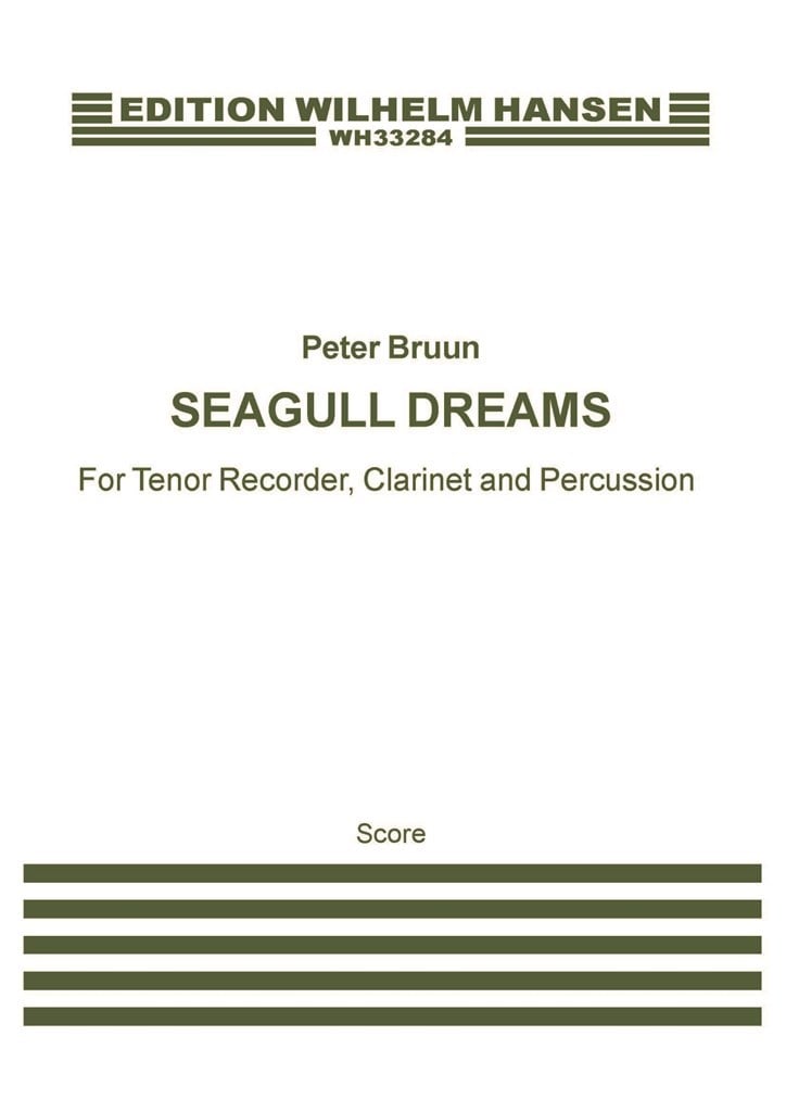 Seagull Dreams
